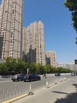 城市道路旁的高层住宅区