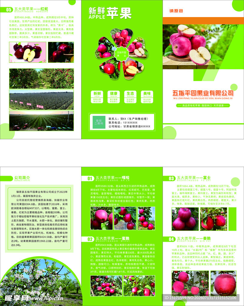 绿色苹果种植宣传册展示