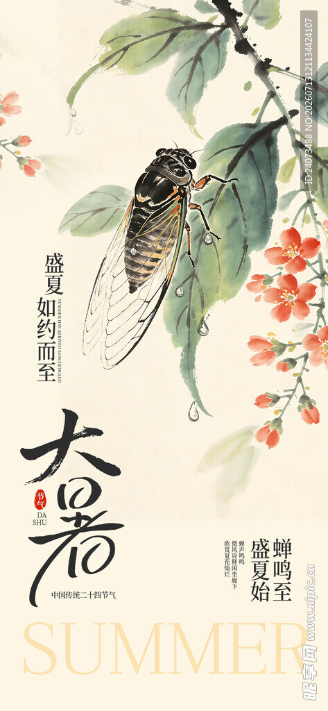 夏日蝉鸣插画