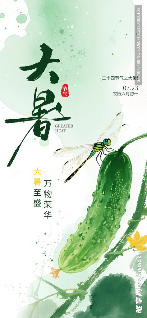 大暑时节的清新黄瓜插画
