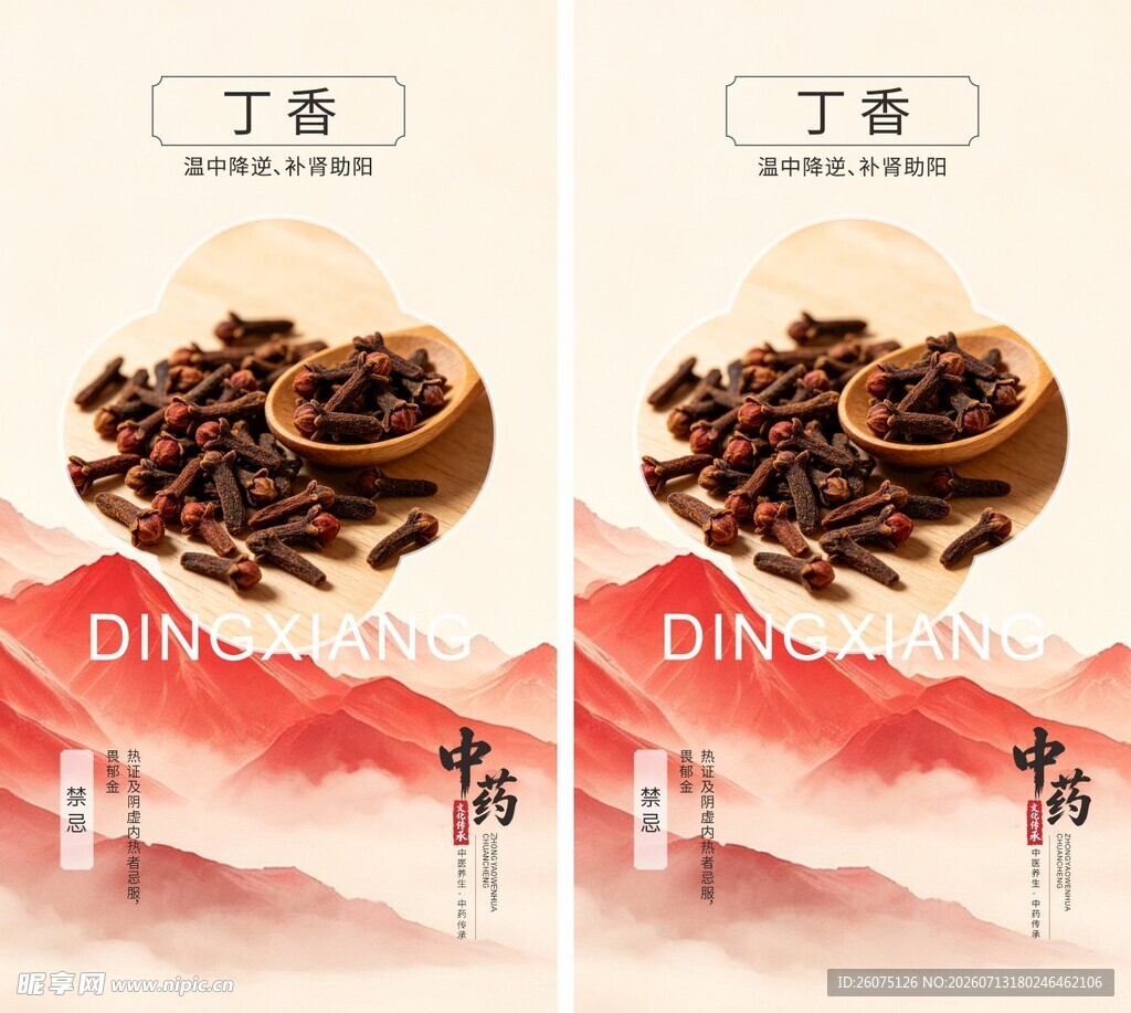 丁香药材展示图