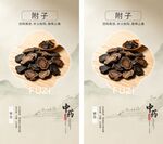 附子药材展示图