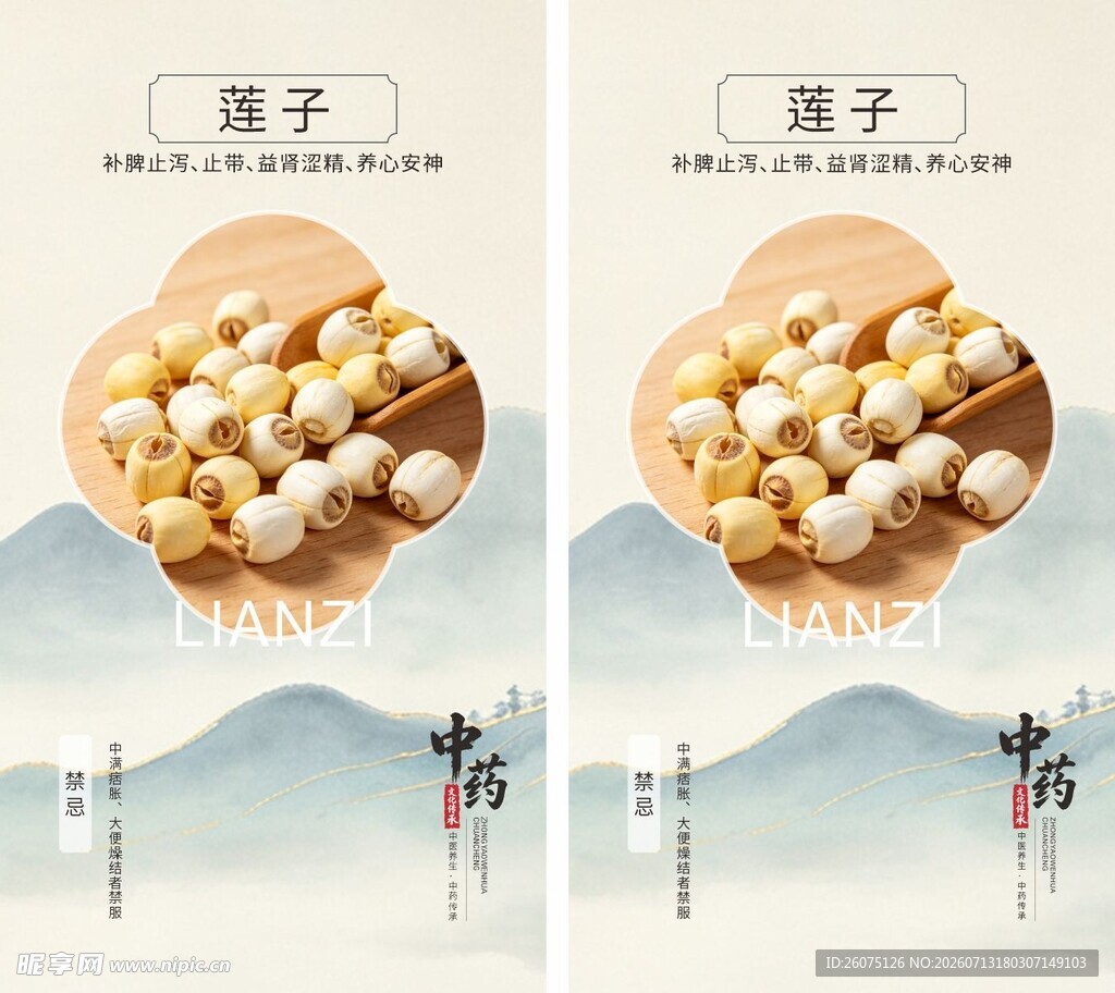 莲子特写展示