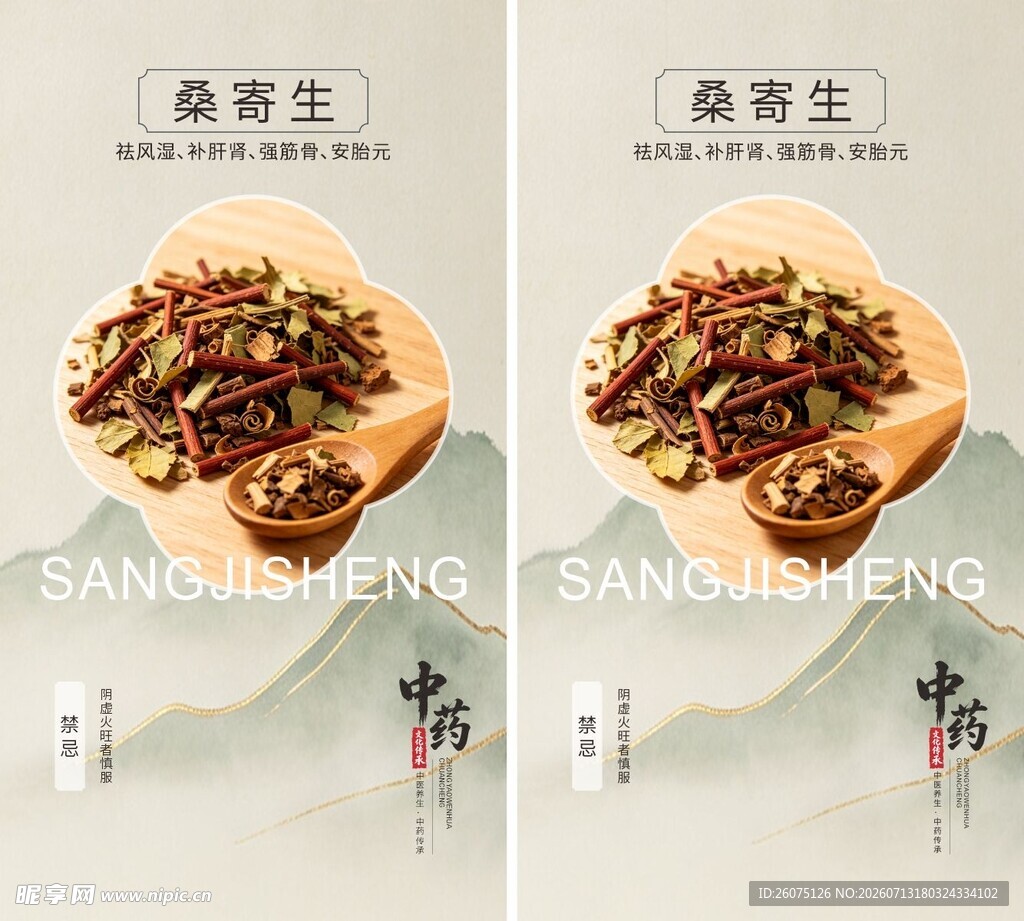 桑寄生中药材展示图