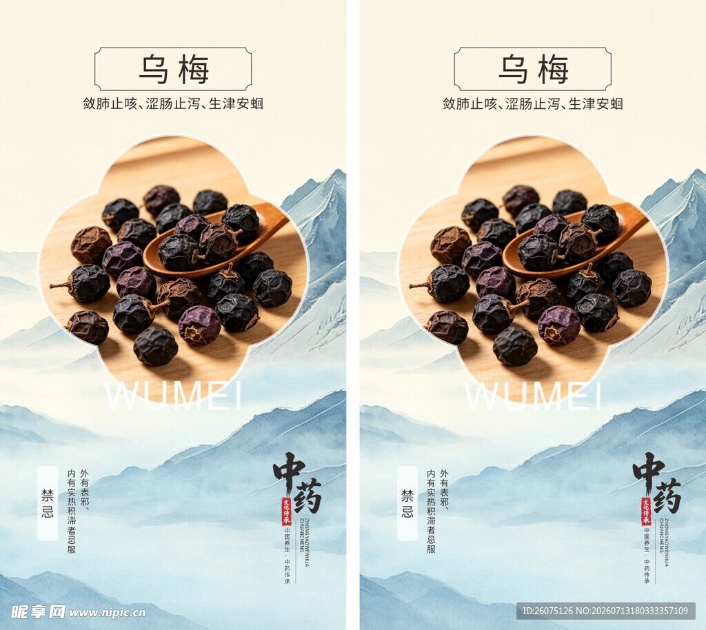 高品质乌梅药材展示