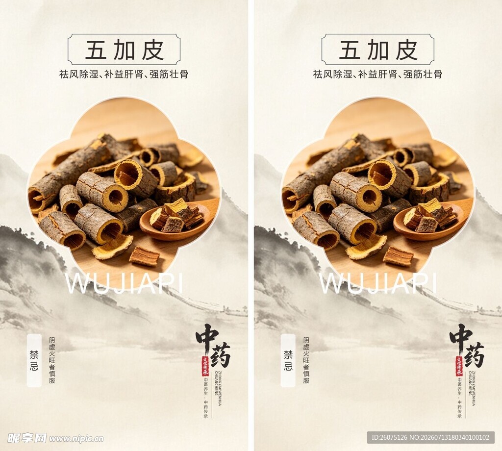 中药材五加皮海报