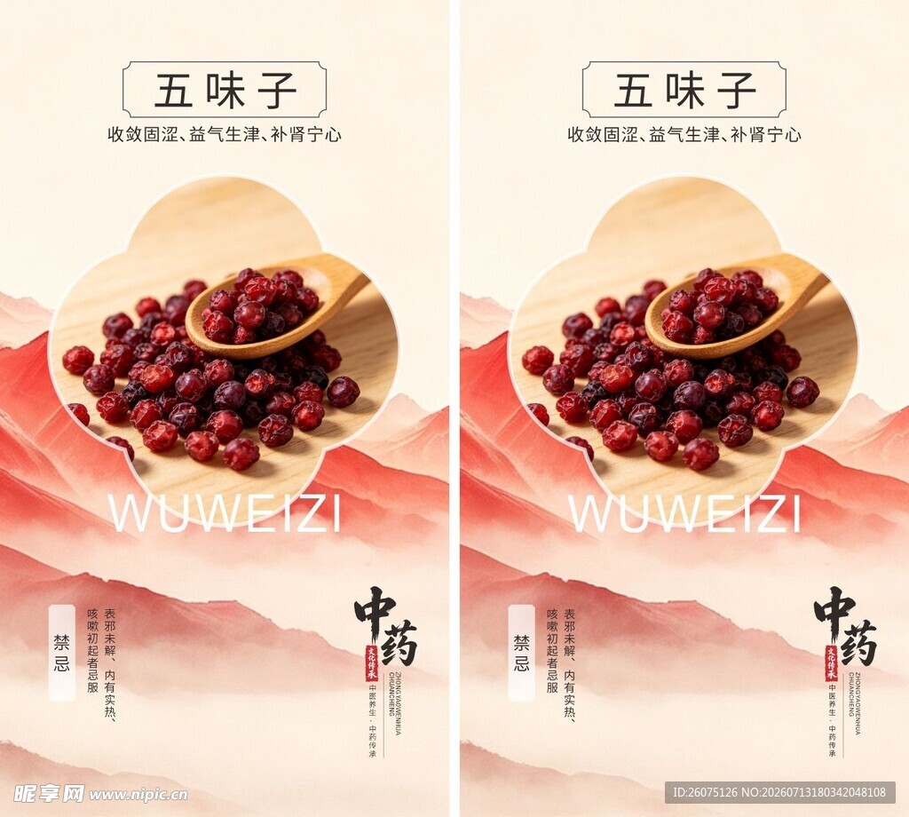 五味子药材展示图