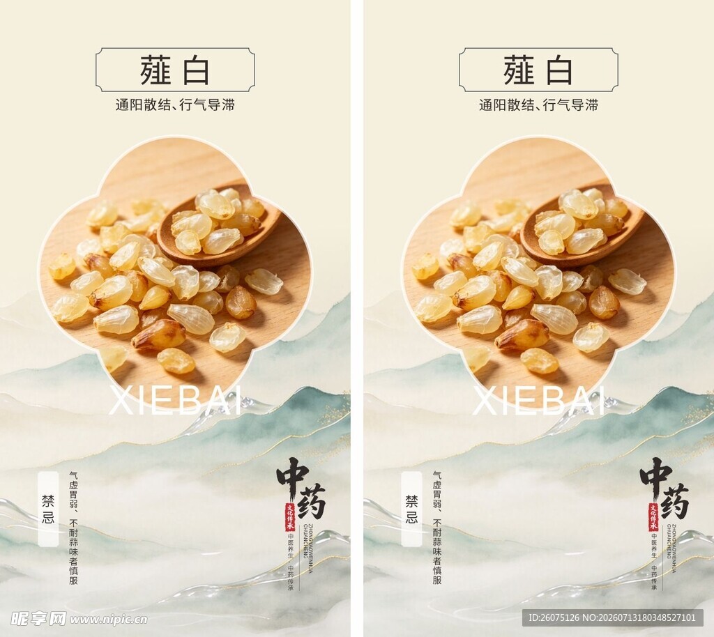 中药材薤白宣传海报