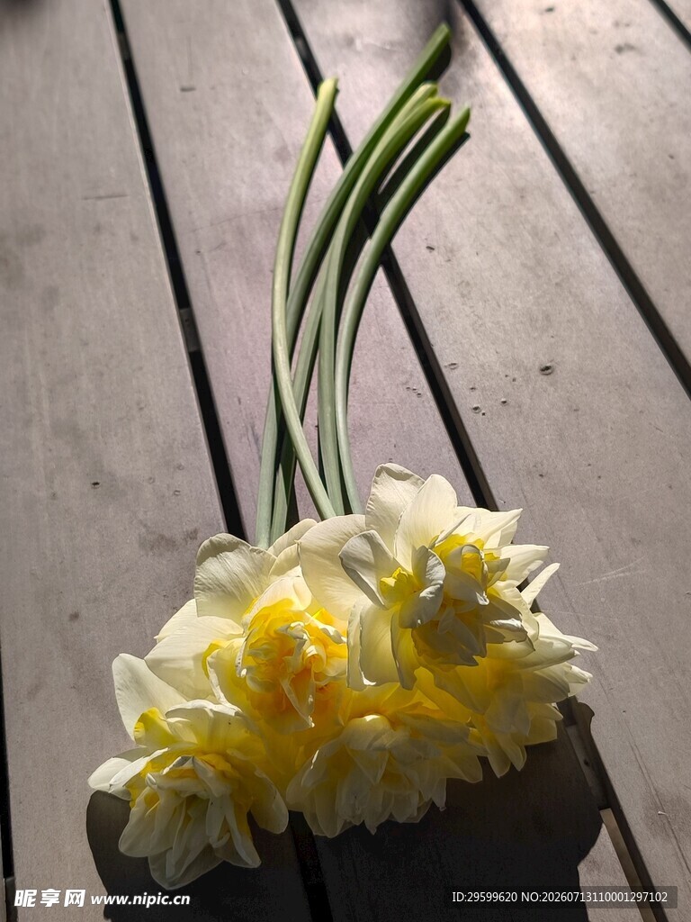 木桌上的黄色水仙花朵