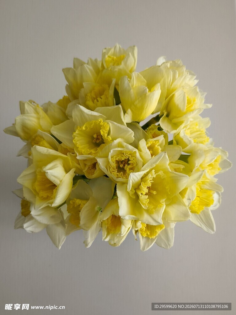 黄色水仙鲜花花束