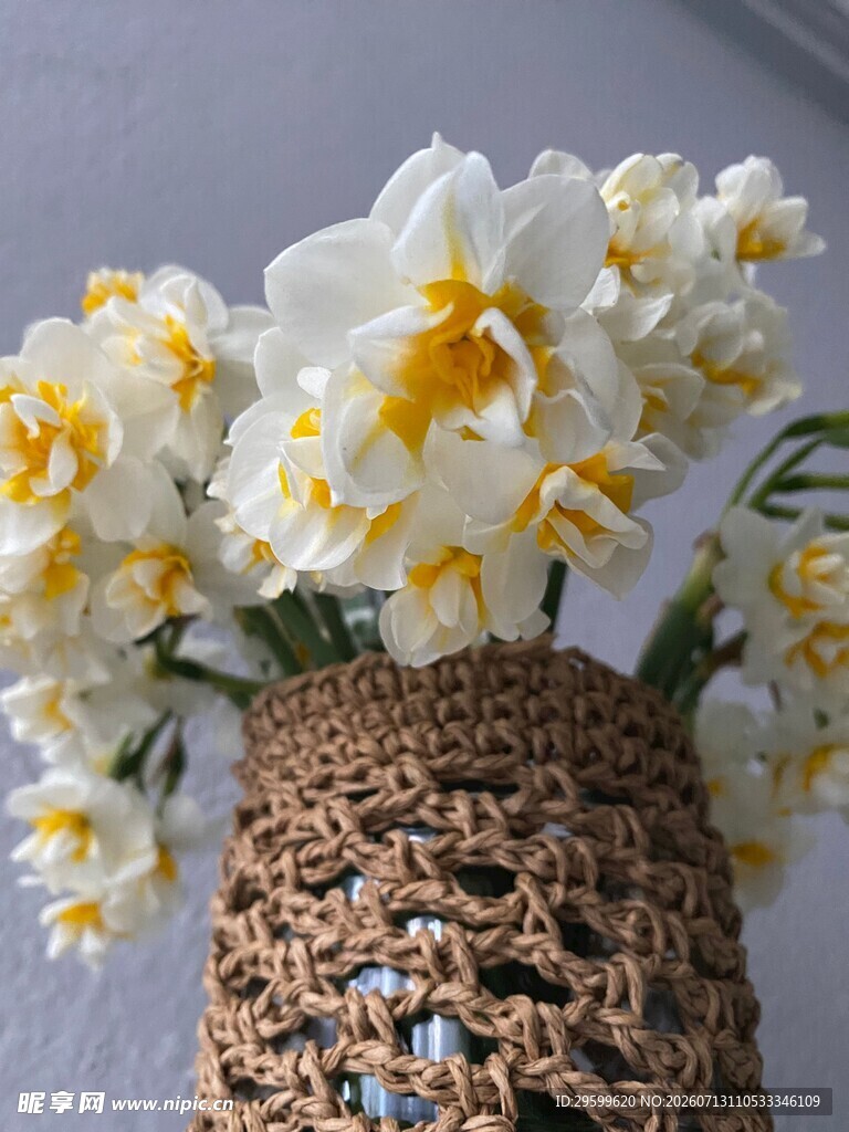 编织花瓶中的水仙花卉