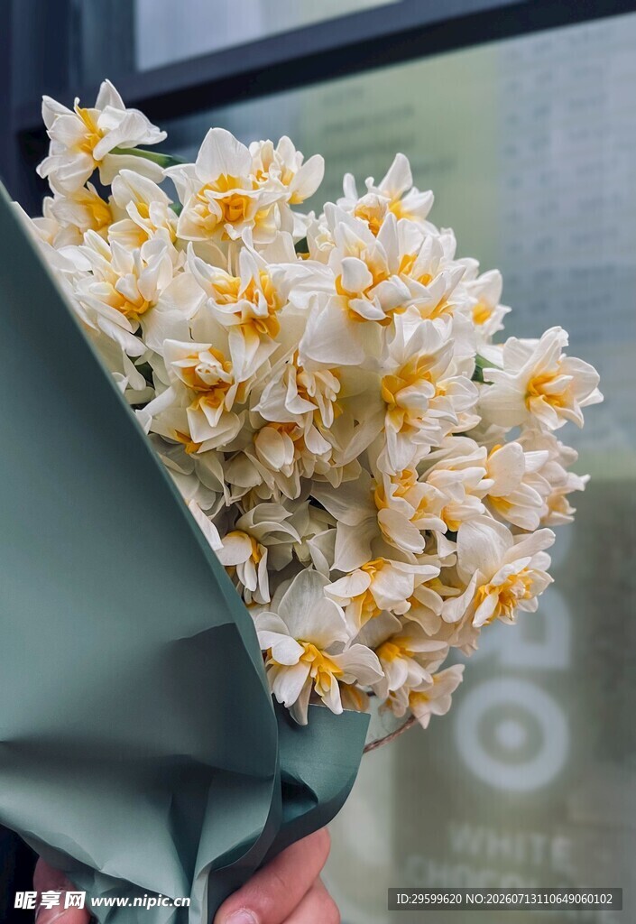 手持清新水仙花花束