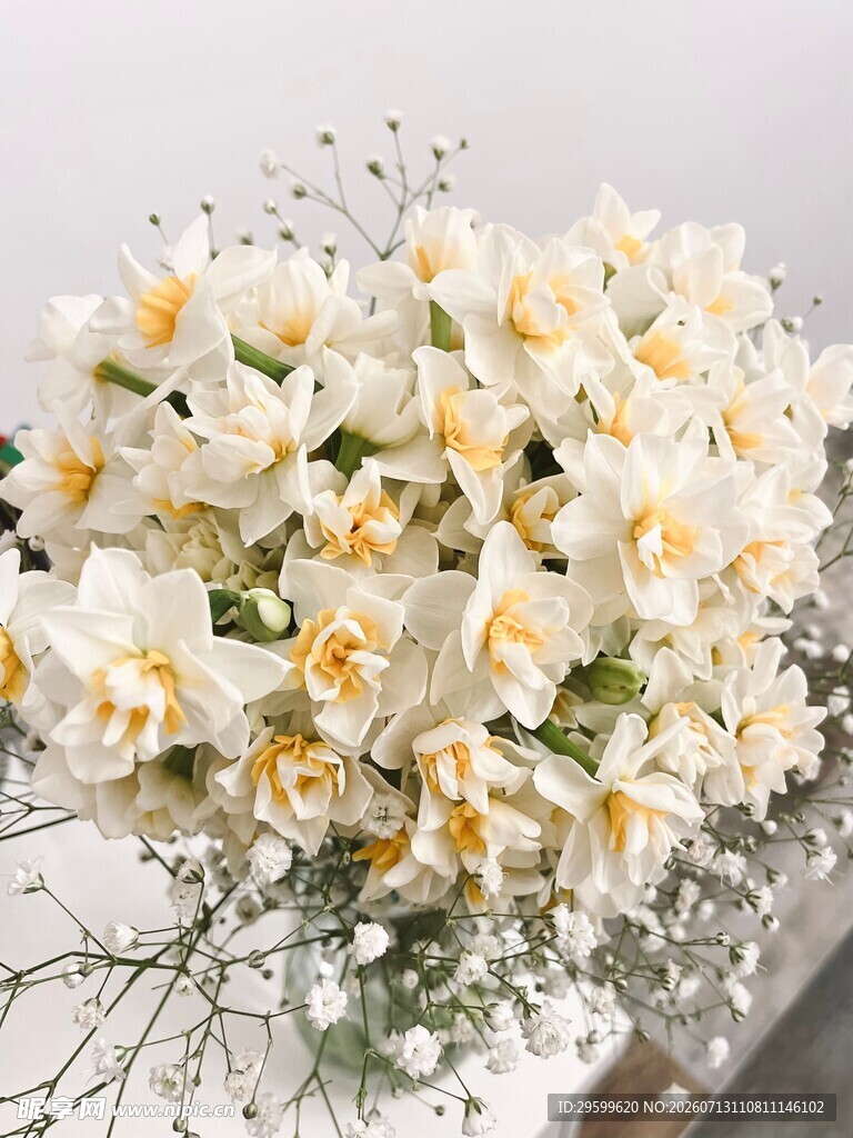 白色水仙花