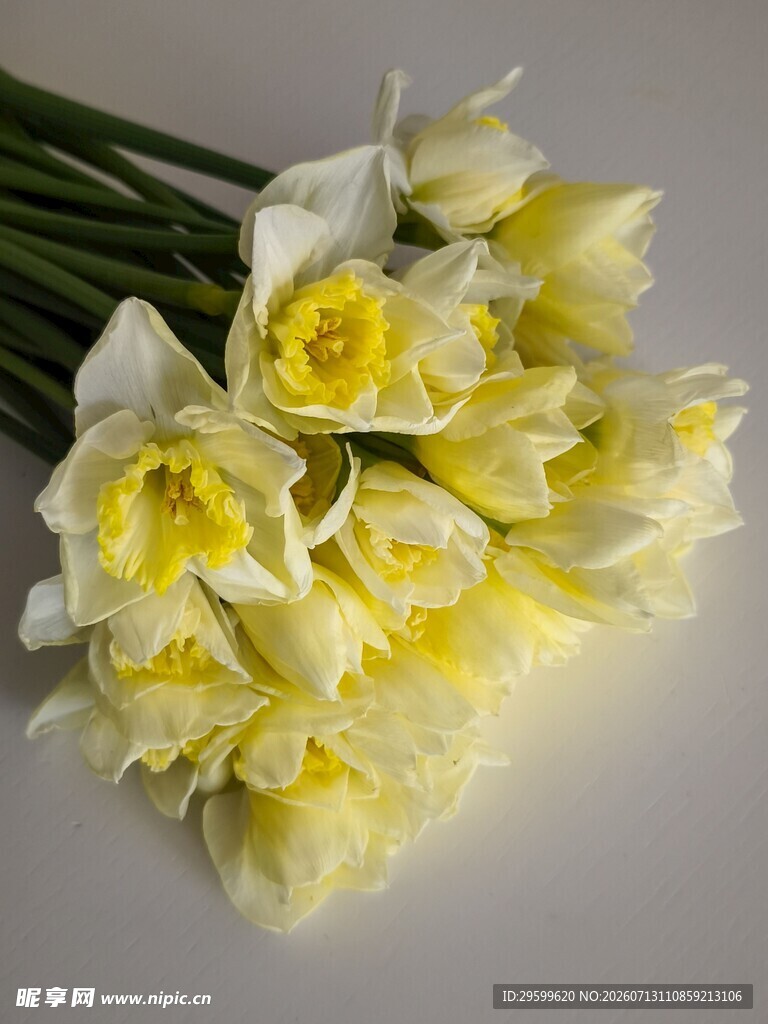 清新黄白水仙花束