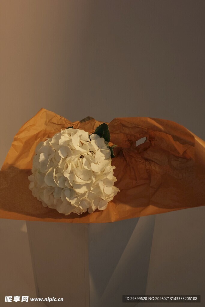 白色绣球花