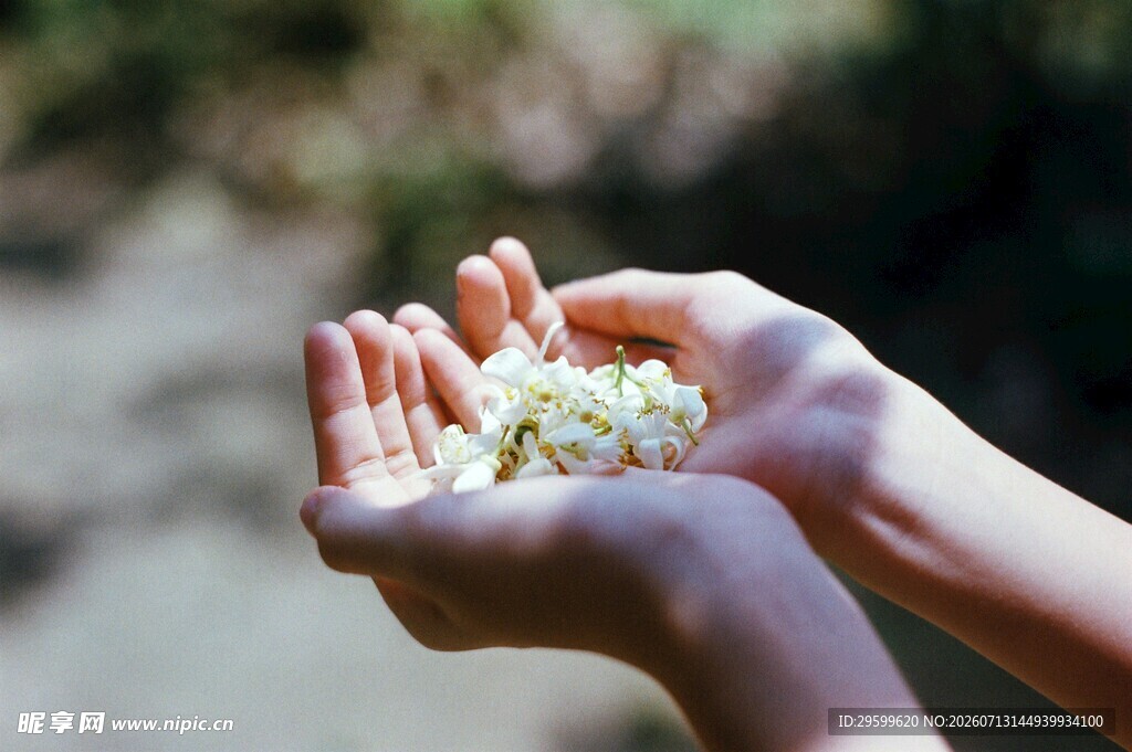手捧茉莉花
