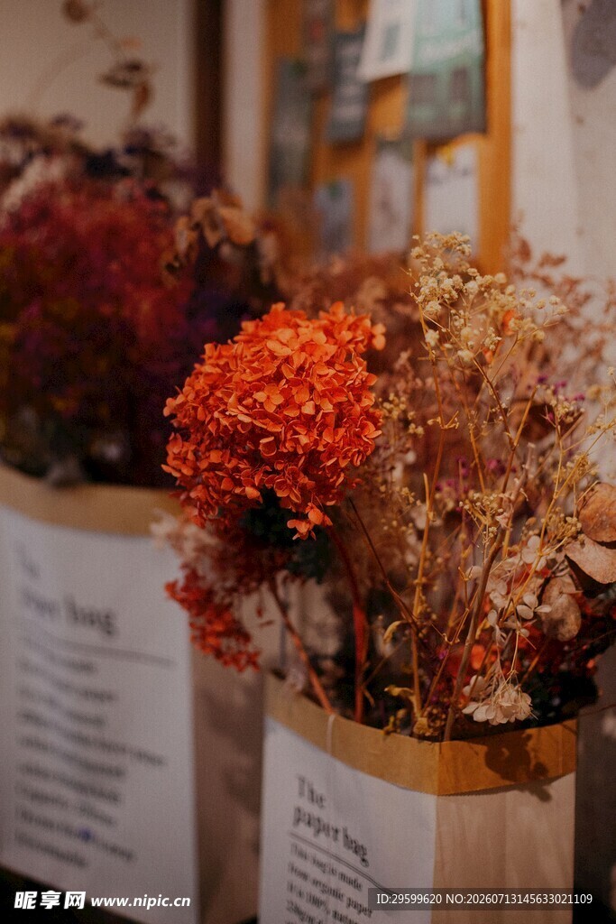 绣球花 