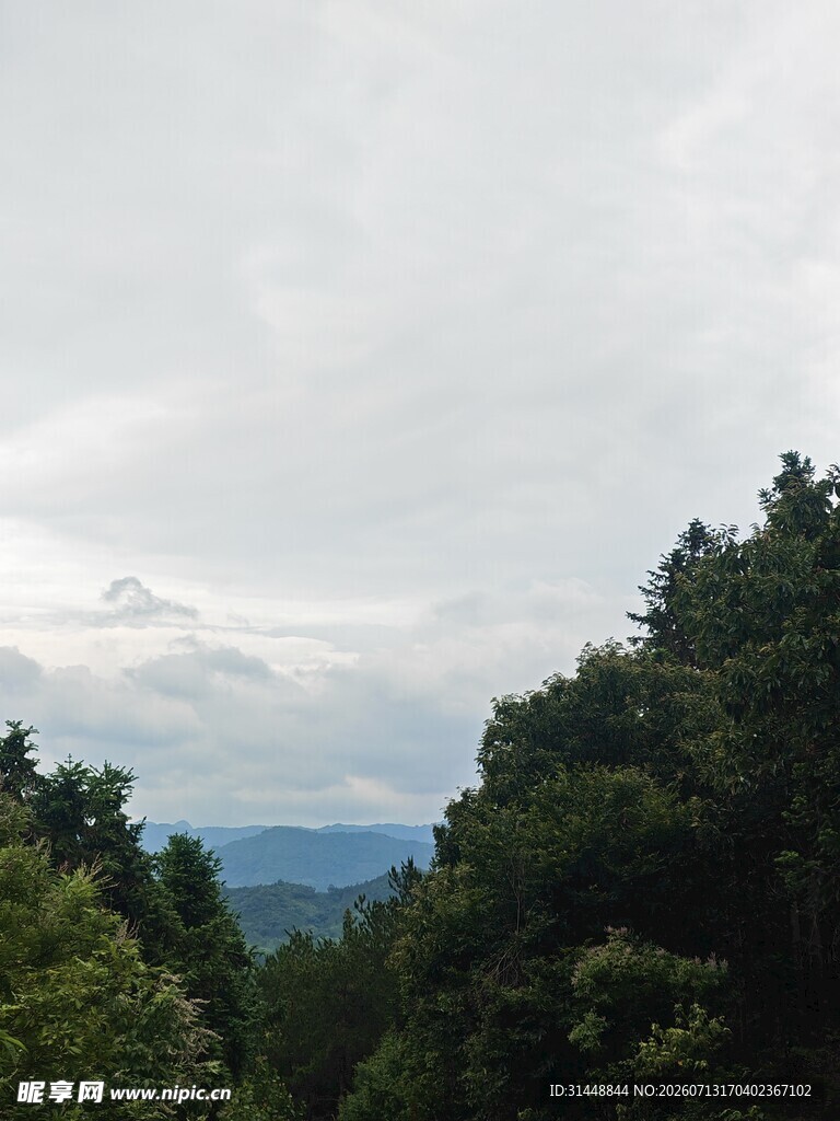 山林间的云雾景致