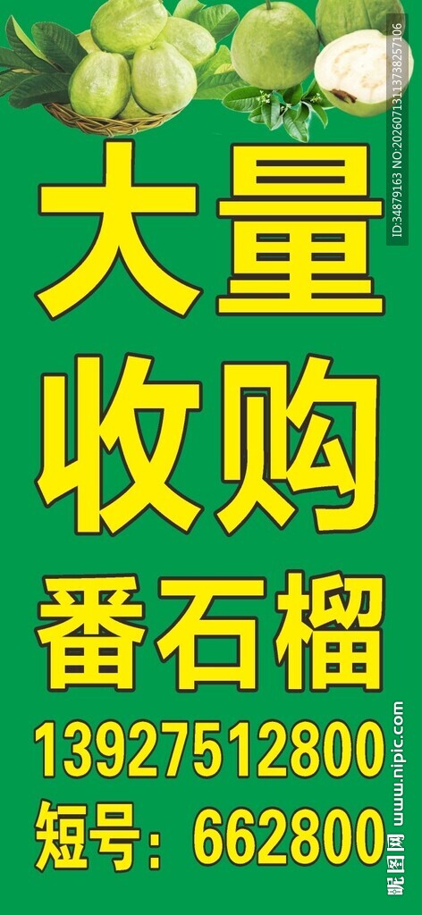大量收购番石榴广告