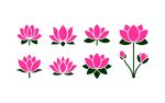 荷花图案合集