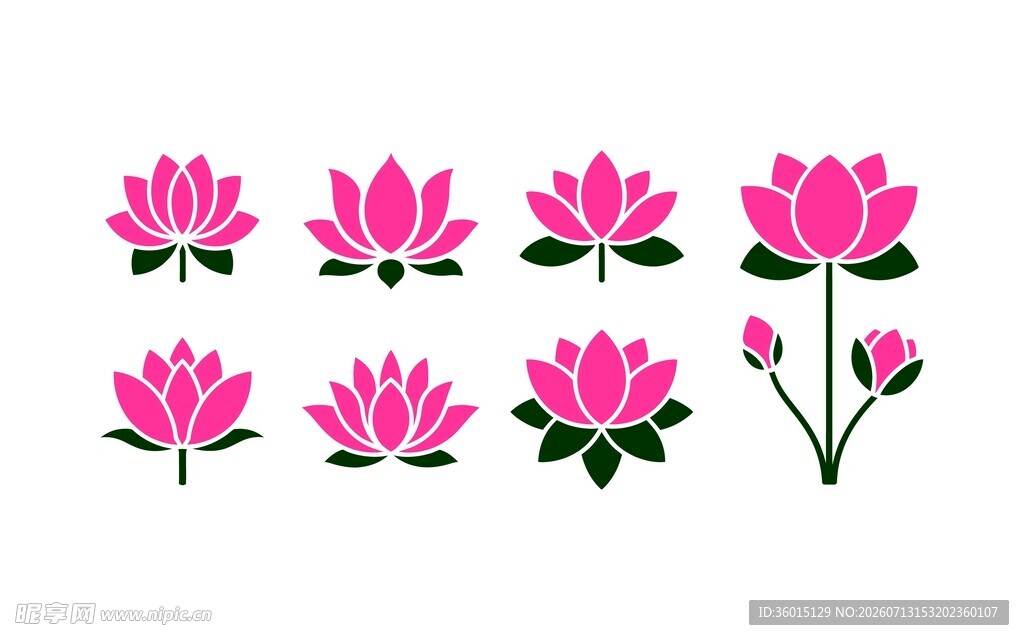 荷花图案合集