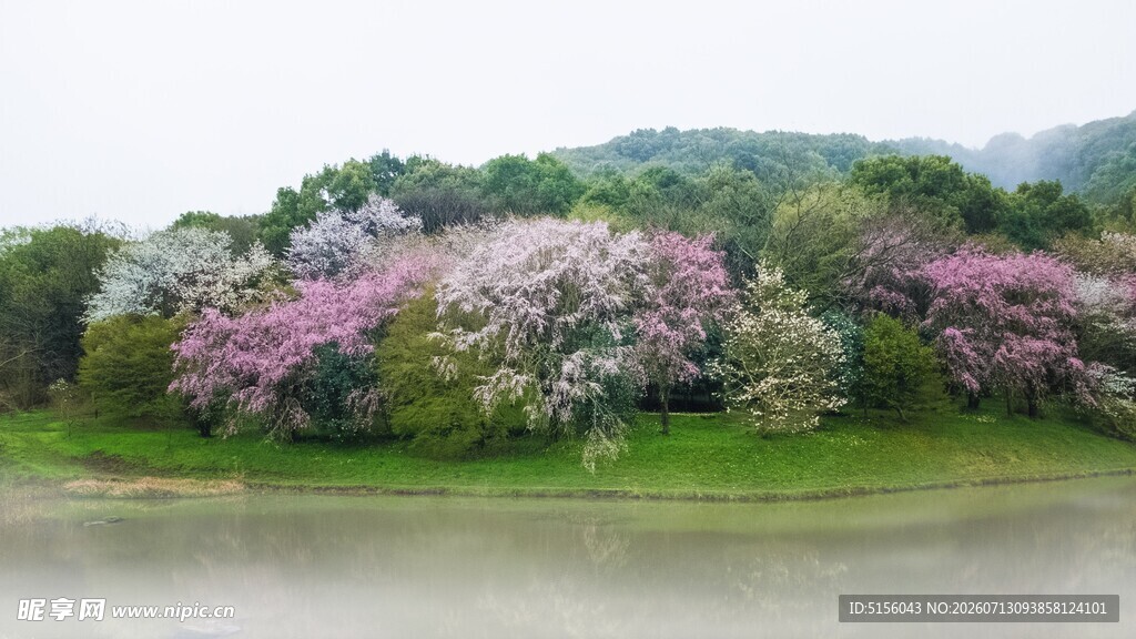 湖畔繁花盛开的美丽景致