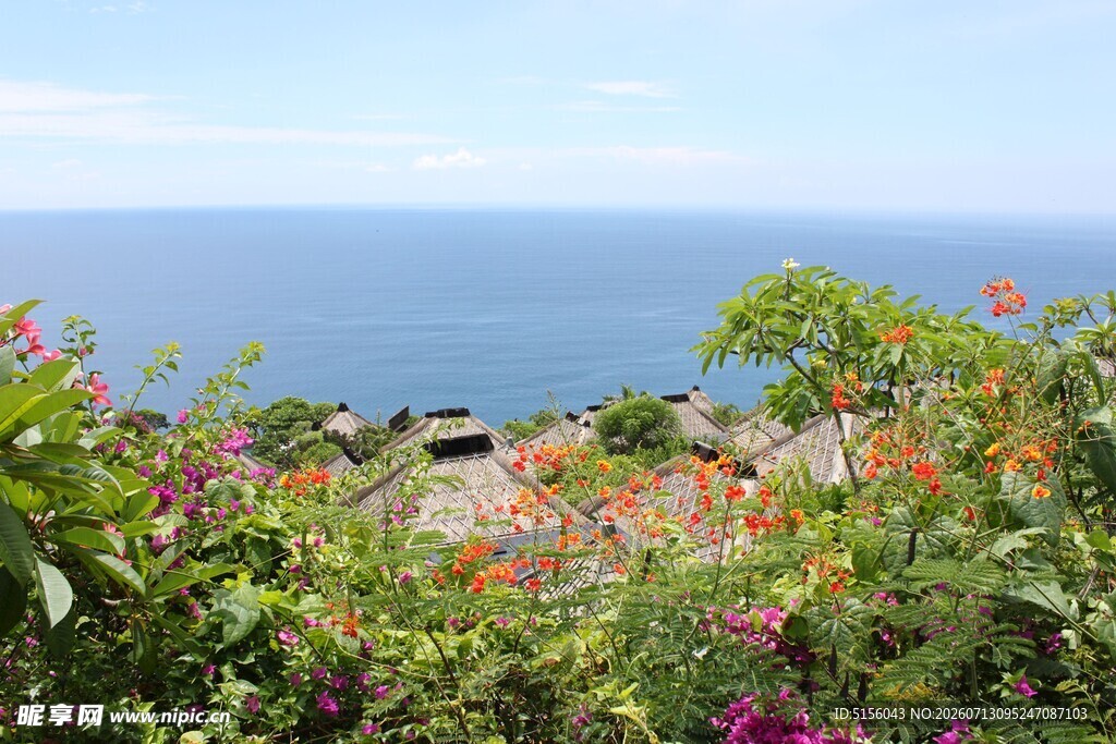 海边繁花簇拥的美丽景致