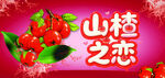 山楂之恋