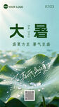 大暑节气海报展示