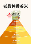 老品种香谷米营养金字塔