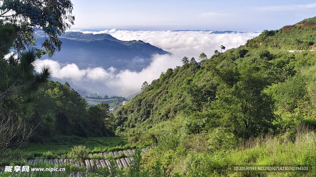 山间绿野云海美景