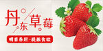 丹东草莓海报