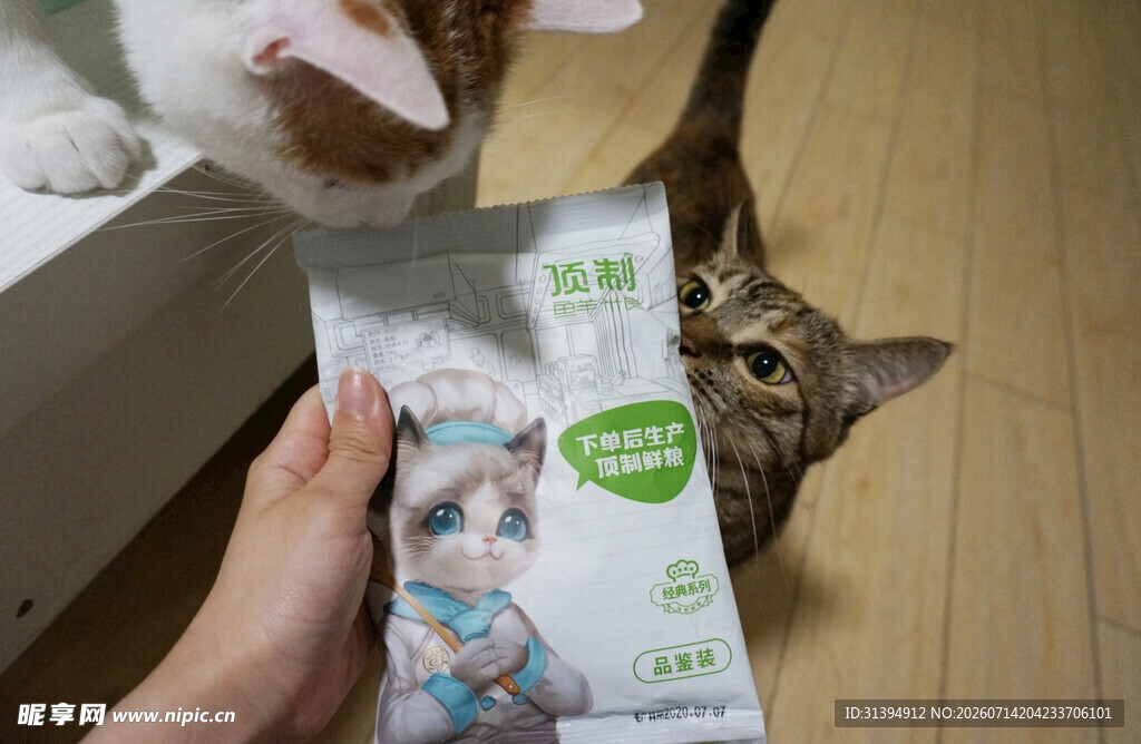 猫咪对猫粮袋好奇