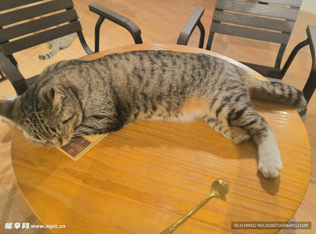 酣睡的猫咪躺于木桌上