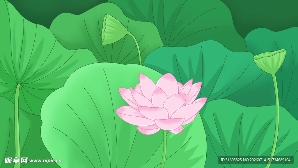 手绘荷花荷叶插画图案