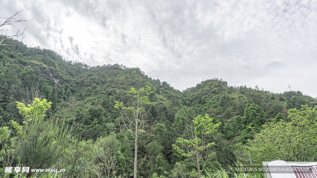 青山绿树间的自然景致