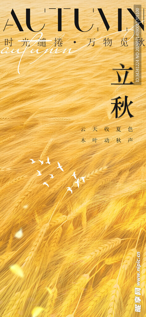 立秋时节秋天海报