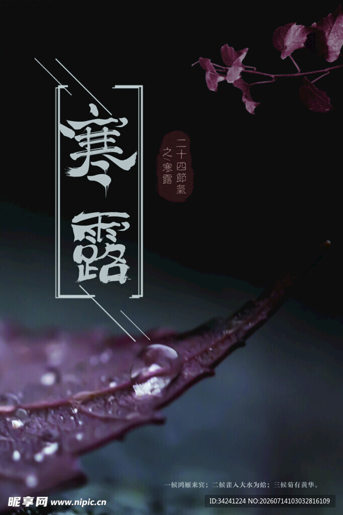寒露时节带露红叶