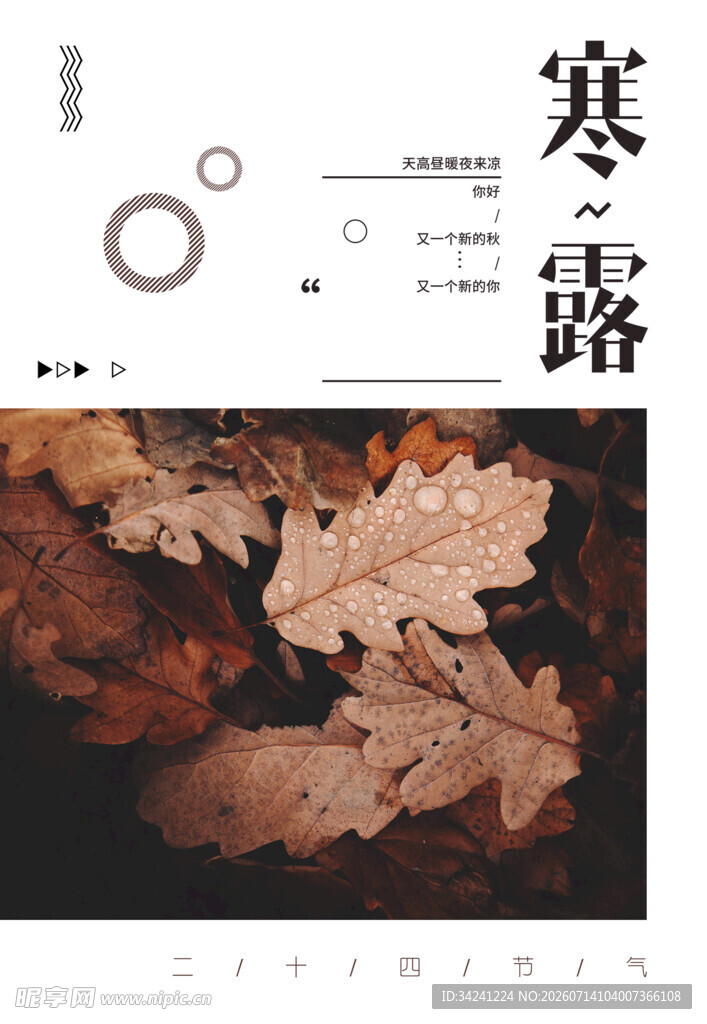 寒露时节落叶景致