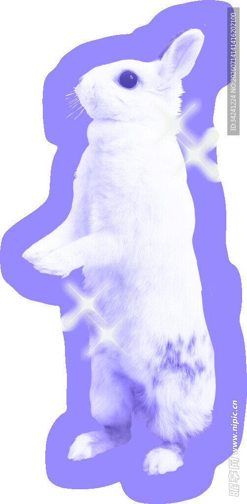 站立的白兔