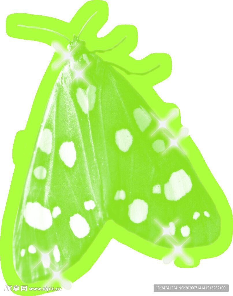 绿色斑点蝴蝶插画