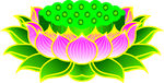 莲花