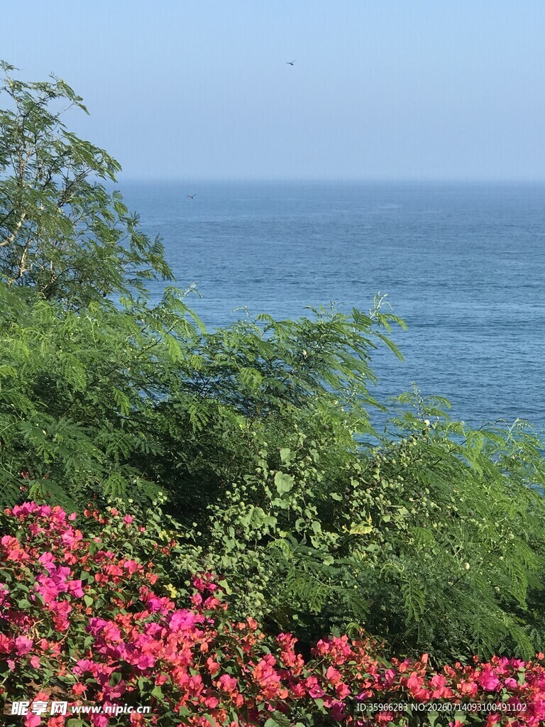 海边繁花绿树美景