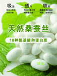 天然桑蚕丝蚕茧富含18种蛋白