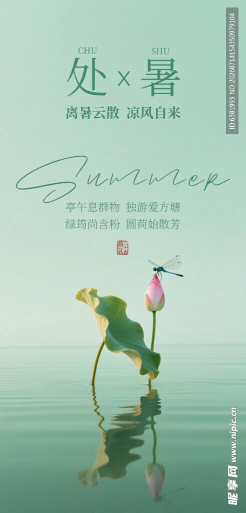 处暑时节荷塘诗意景象