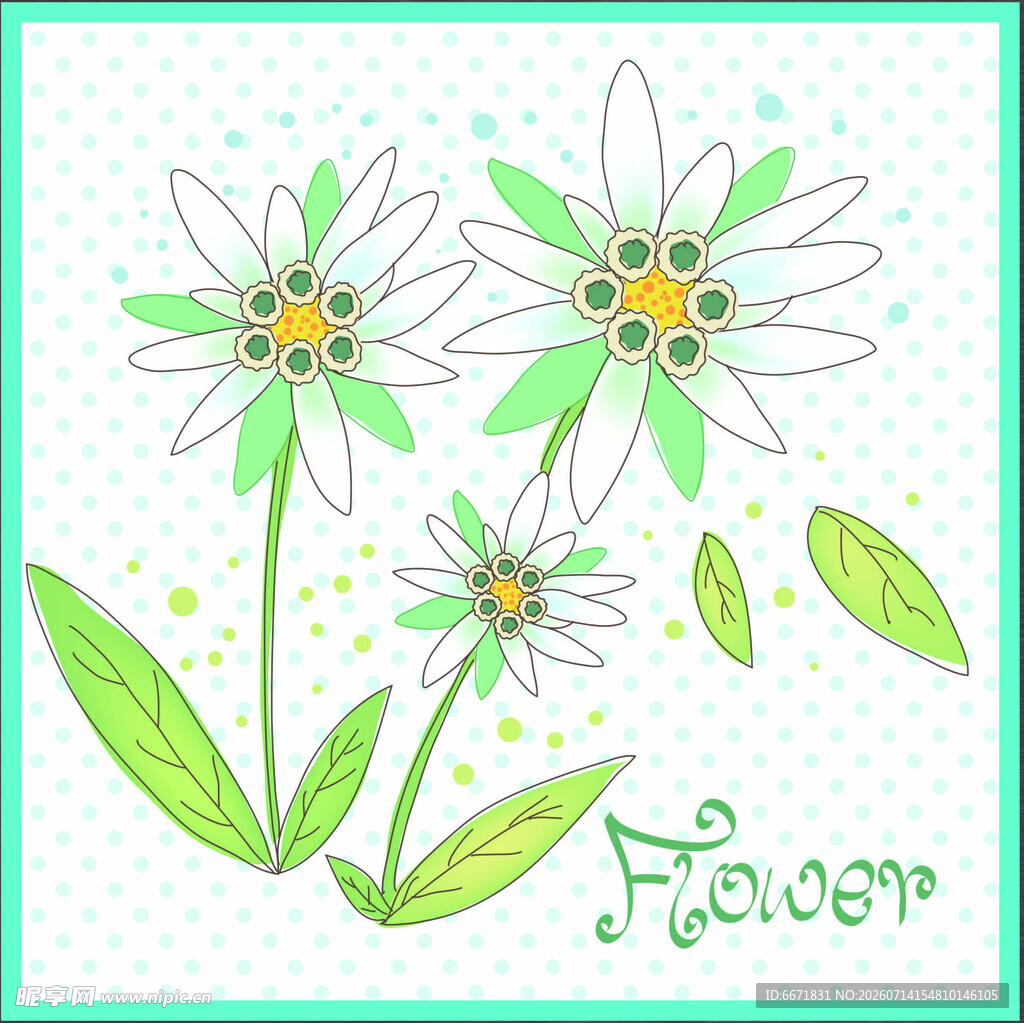 手绘清新雏菊花卉图案