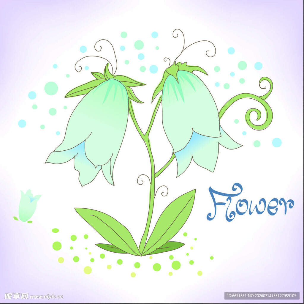 手绘铃兰花插画
