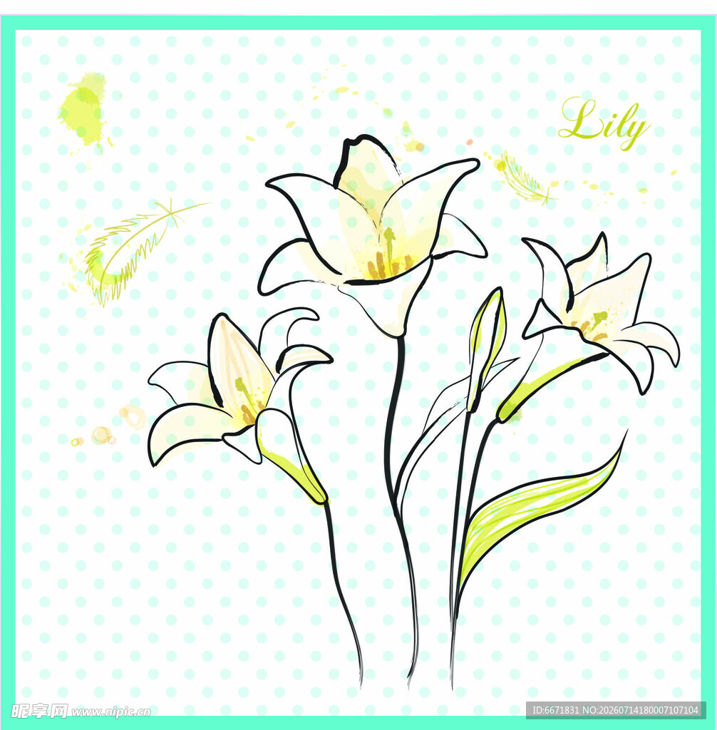 手绘清新百合花插画