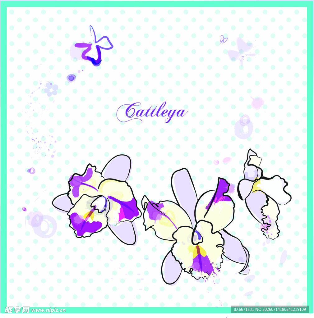 紫色兰花插画