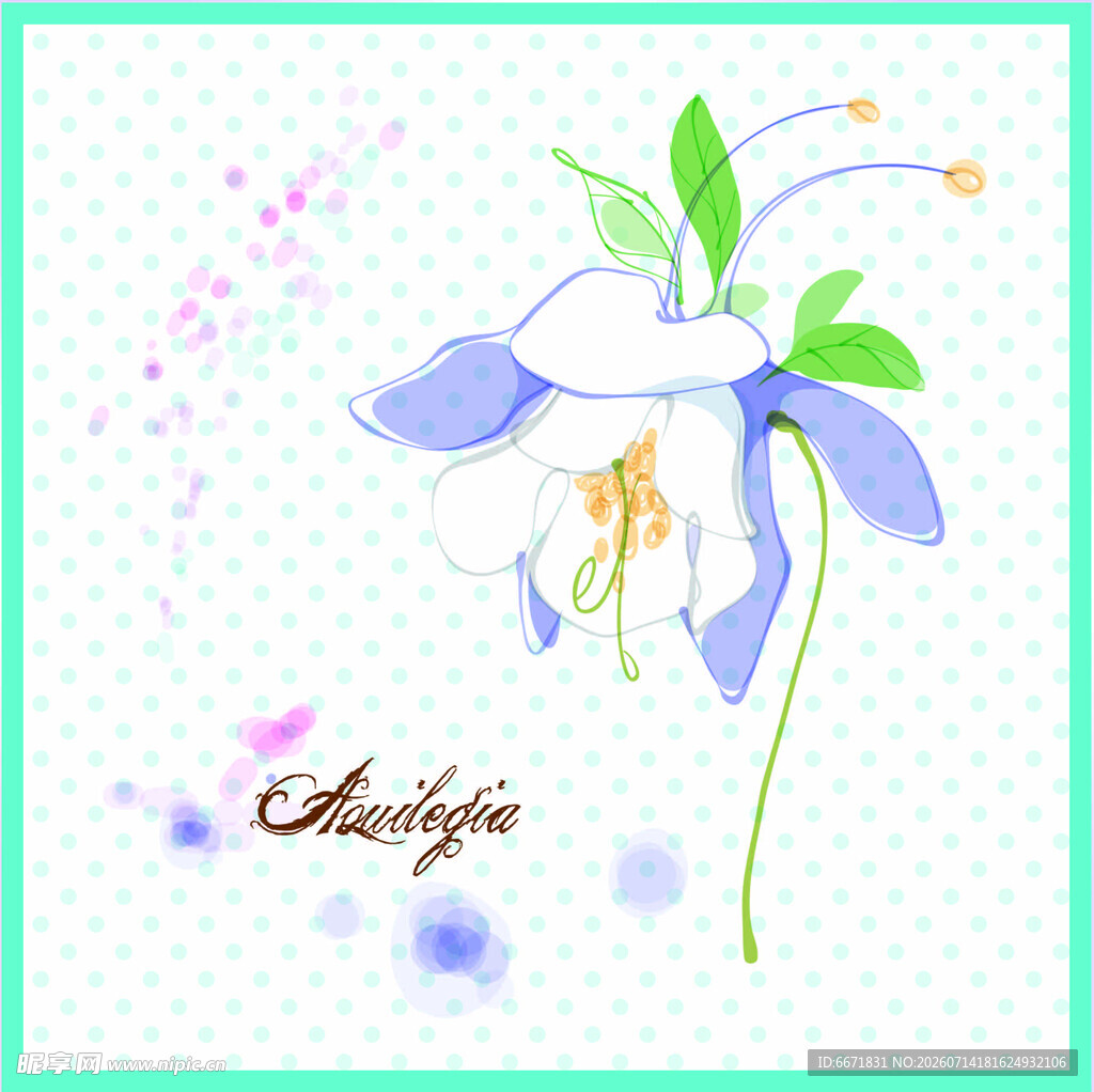 手绘耧斗菜花卉图案